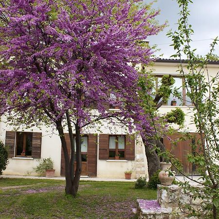 B&B Alte Paderno del Grappa Ngoại thất bức ảnh